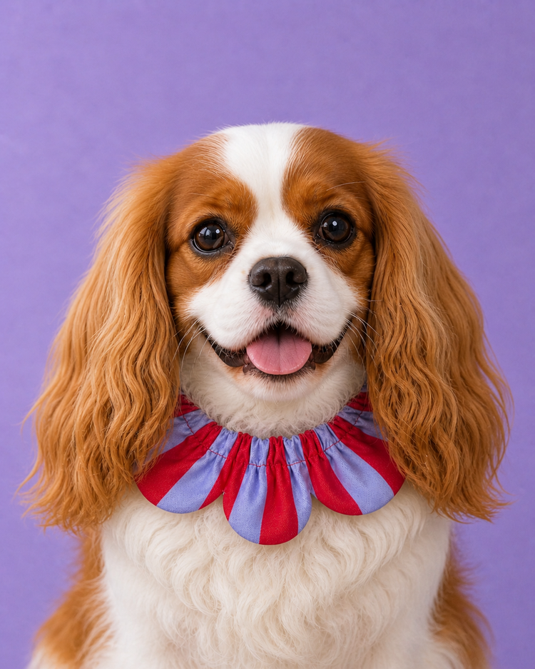 PawBow Flower Dog Collar (red lilac stripe)