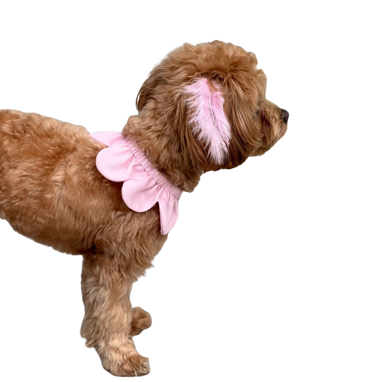 Markamızın İmzası: Çiçek Formlu Köpek Yakalığı