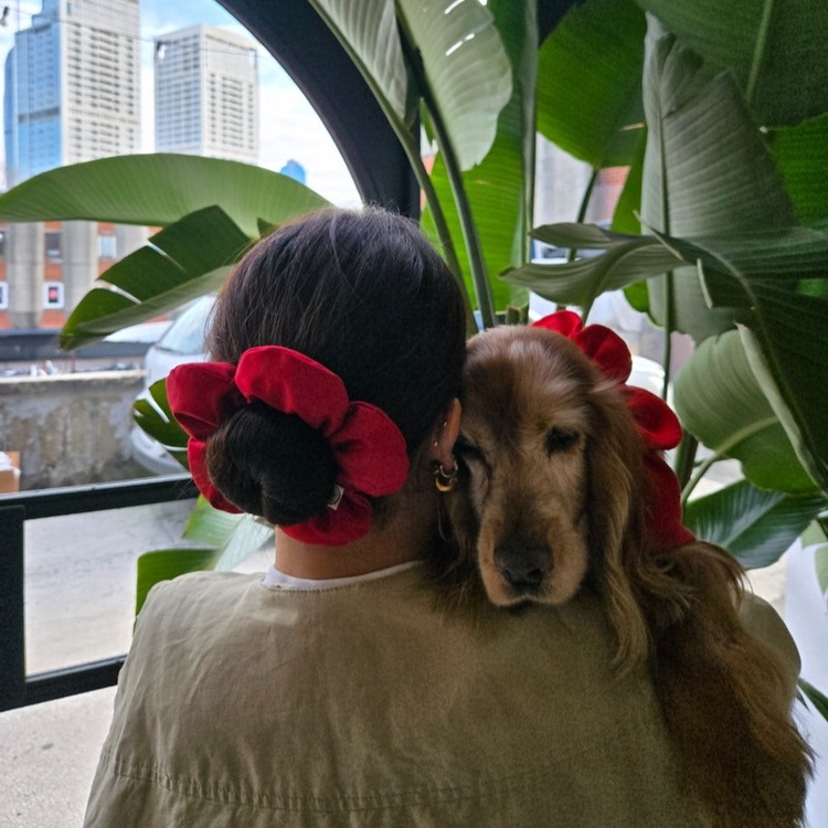 PawBow Flower Dog Collar ve Mum Scrunchie Set (RedNavyGingam)