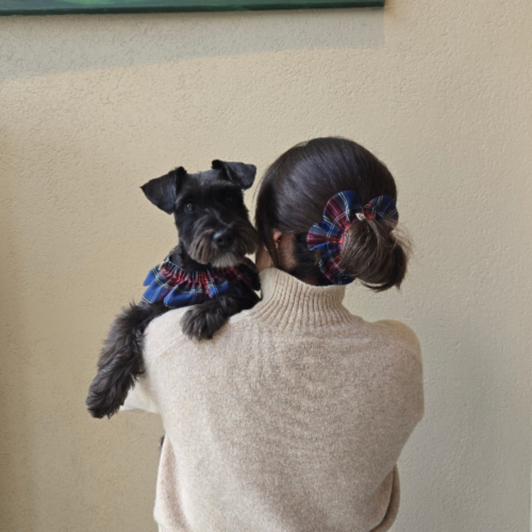 PawBow Flower Dog Collar ve Mum Set
