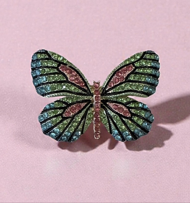 rainbow butterfly broş