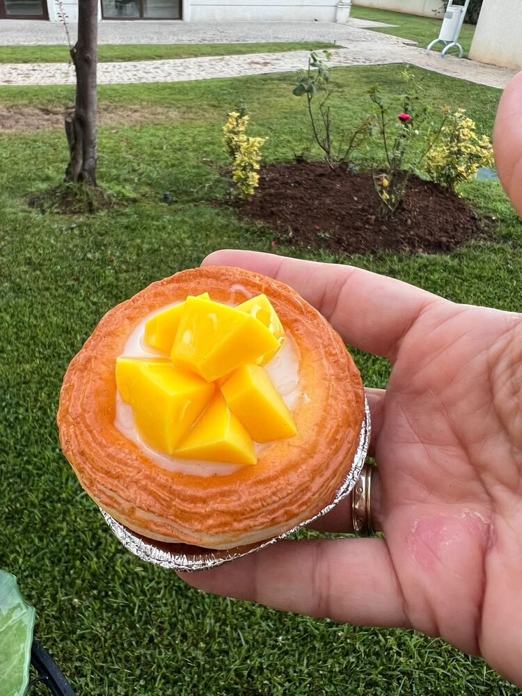 mango magnet 