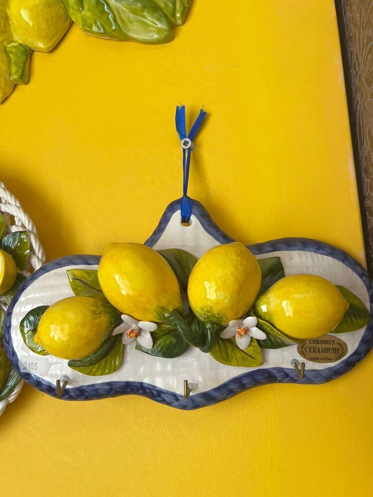 30x18 mutfak askısı italy limon pano