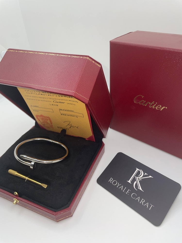 Cartier Çivi Kalın Silver Erkek