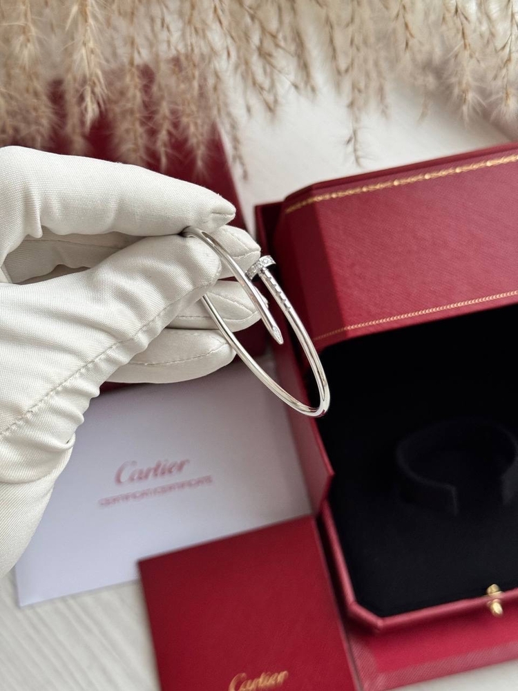 Cartier Çivi Silver Taşlı