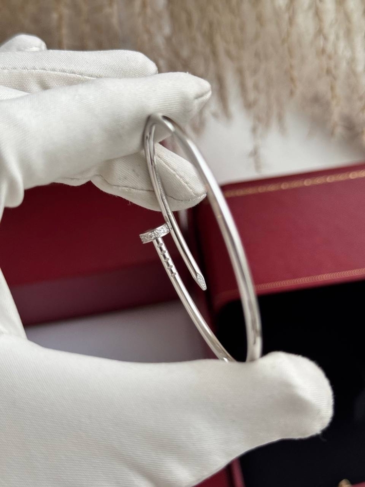 Cartier Çivi Silver Taşlı