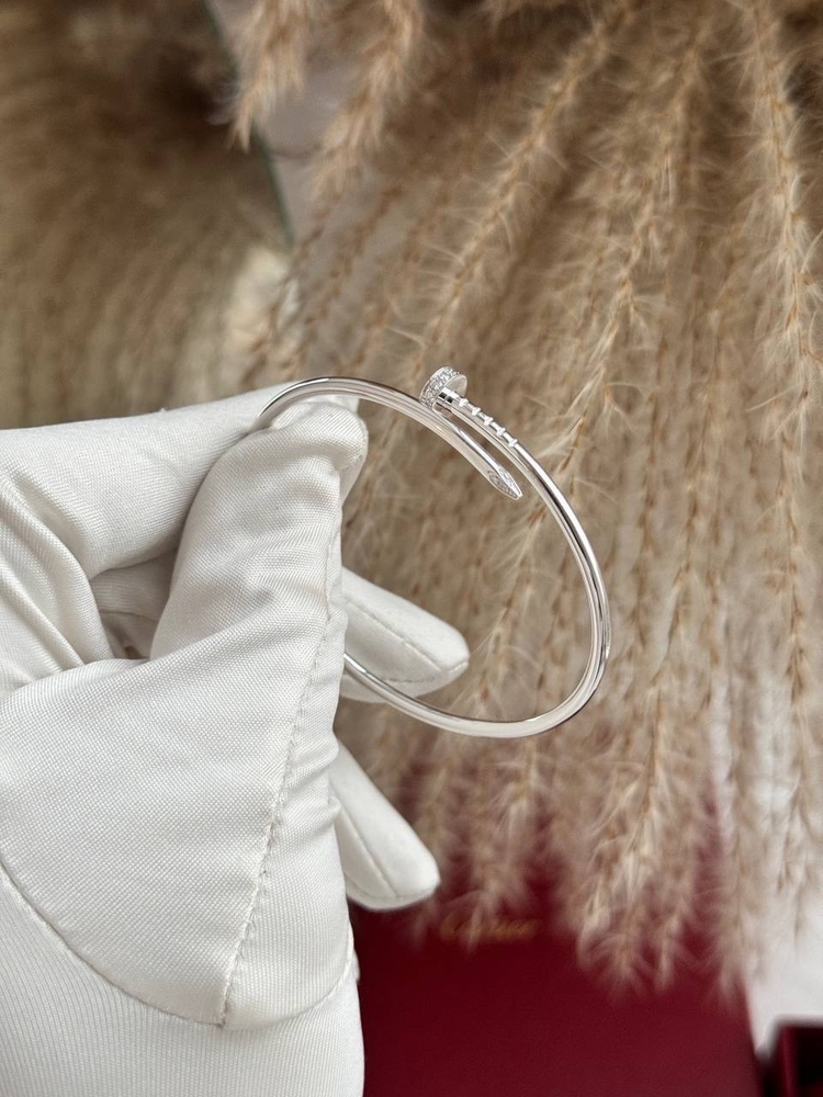 Cartier Çivi Silver Taşlı