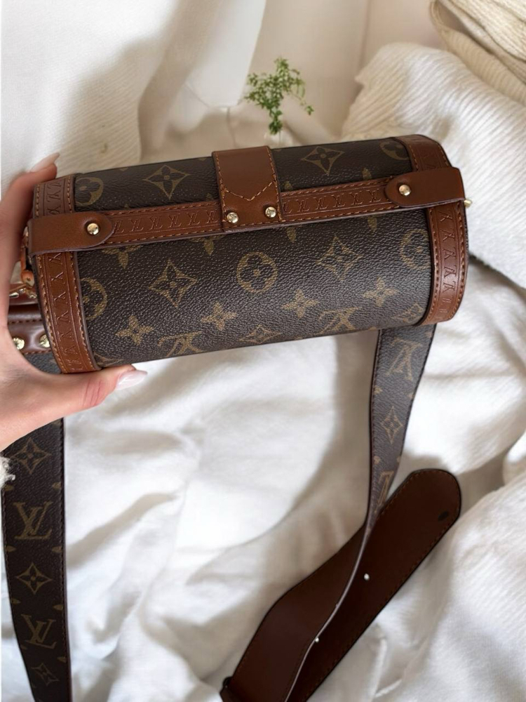 Louis Vuitton Papillon Trunk