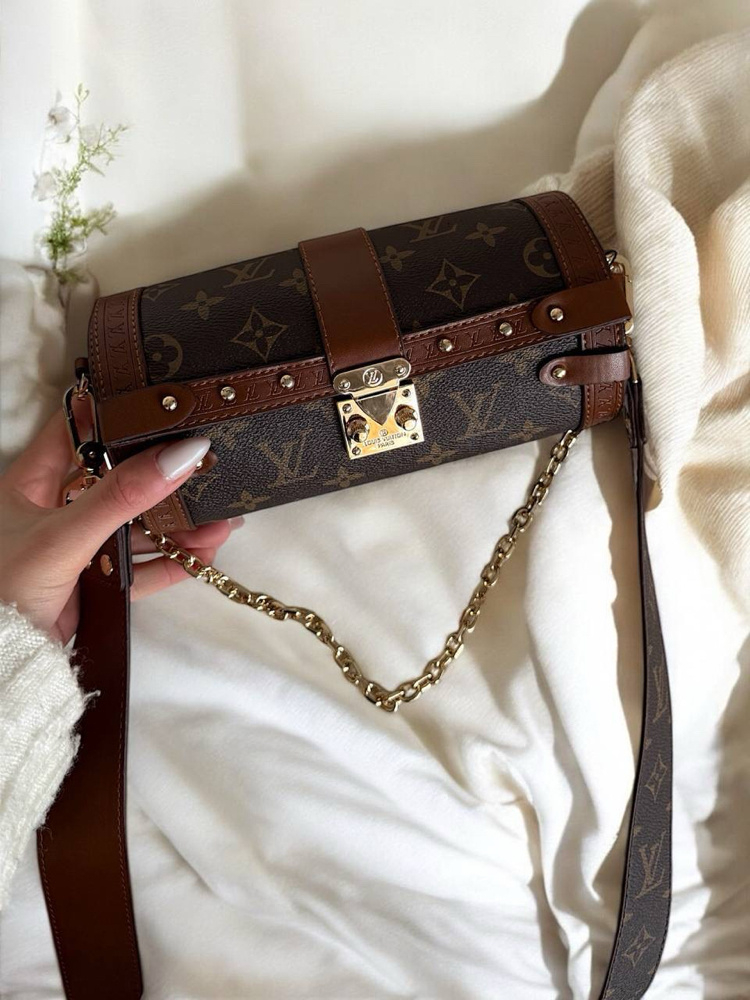 Louis Vuitton Papillon Trunk