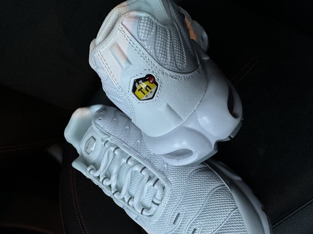 Nike Air Max Plus TN 'Triple White' 8419