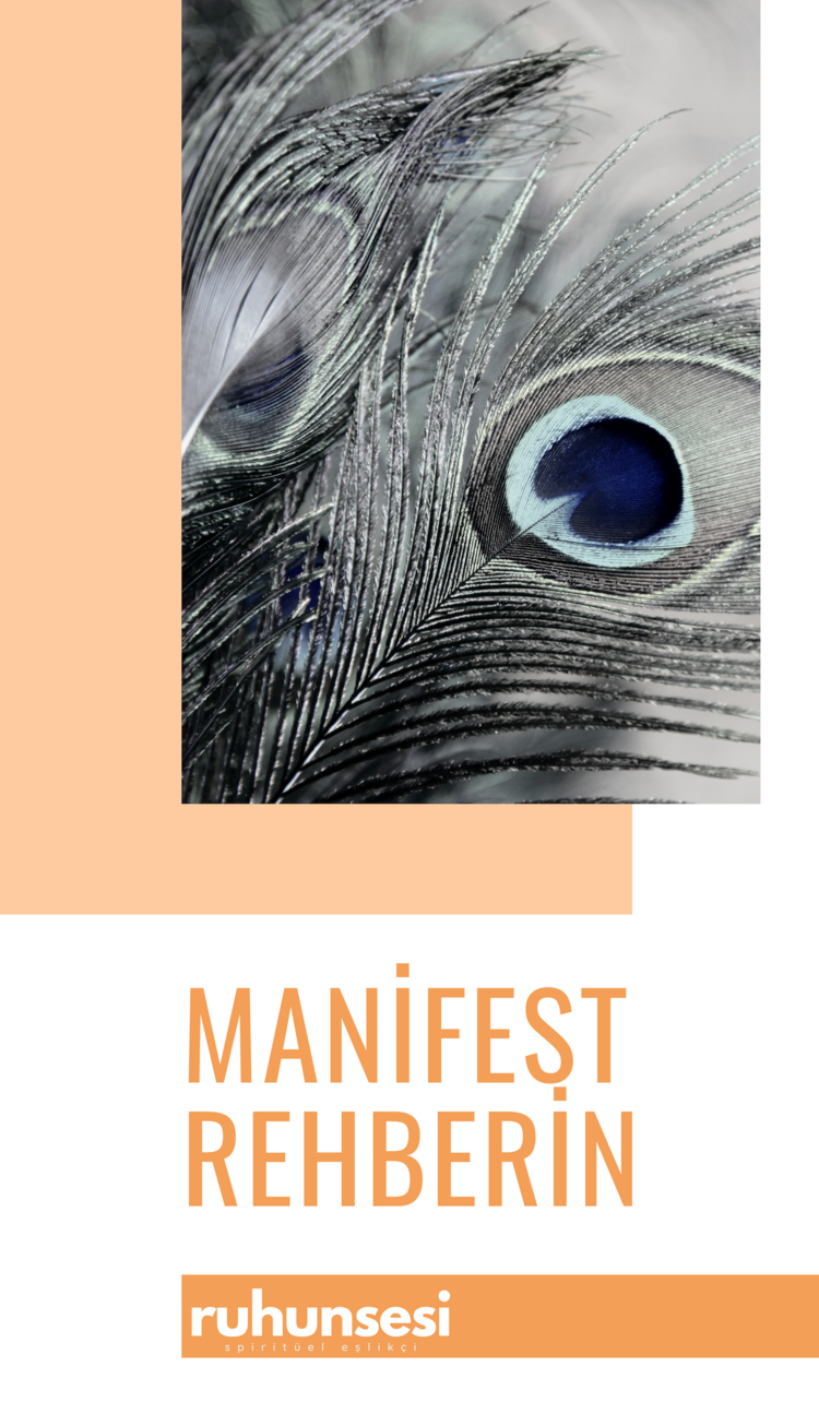 Dijital Manifest Rehberin