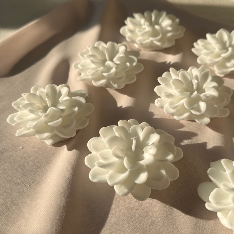 50 Adet - Lotus Mum (Kutusuz)