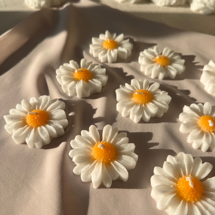 50 Adet - Mini Boy Papatya (Kutusuz)