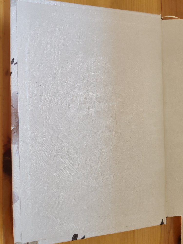 Uçuşan Bahar no. 8 (wabi-sabi)