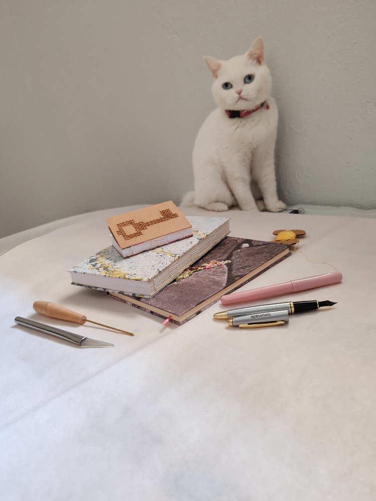 Ruruemade Neftli Ebru defter (sırtı açık) no. 6