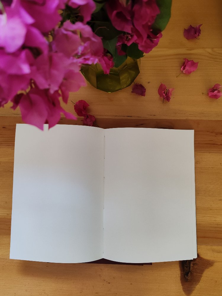 koza sketchbook no. 1