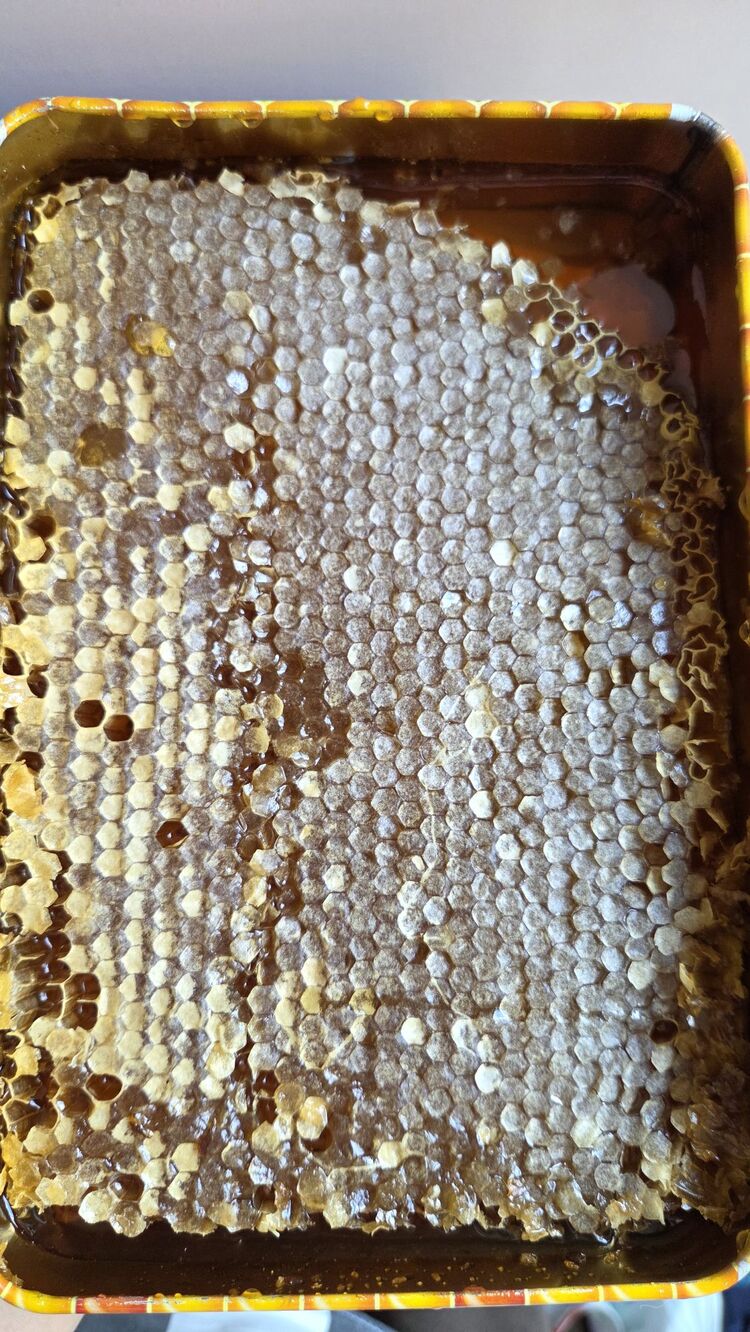 1300gr petek bal