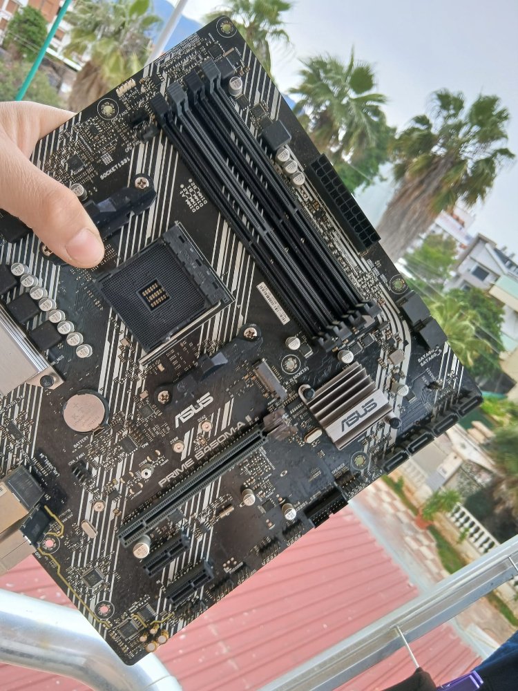 ASUS ANAKART PROFESYONEL