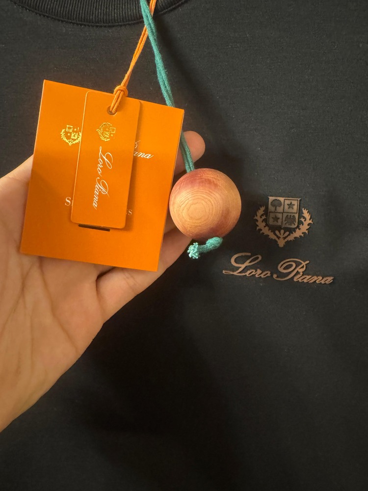 Loro Piana Siyah T-Shirt
