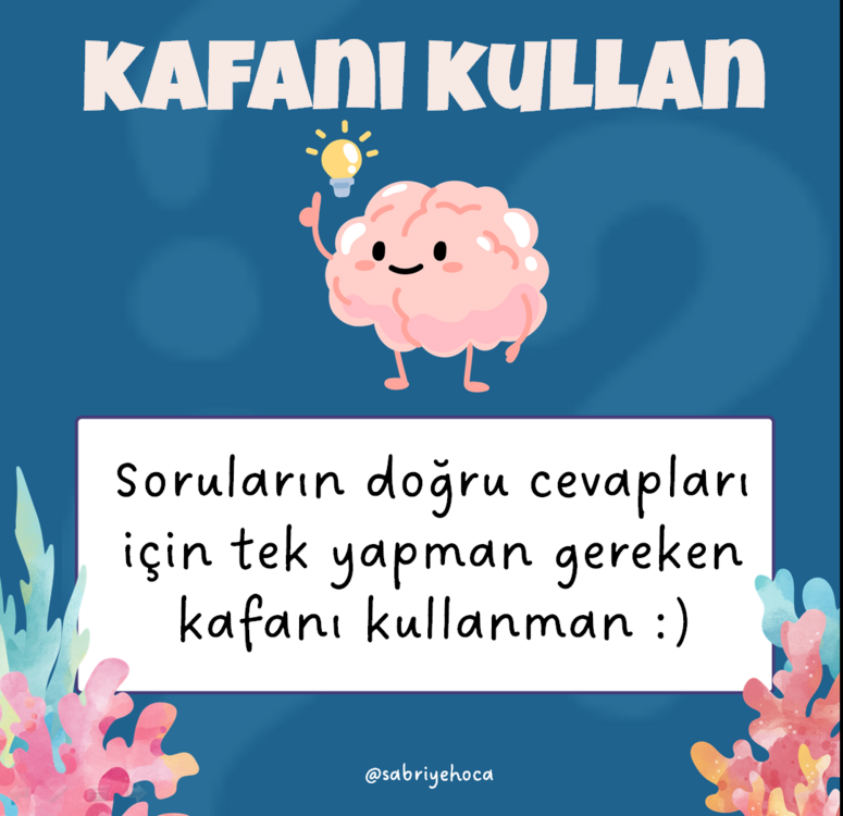 Kafanı Kullan & Üşüten Sorular 2
