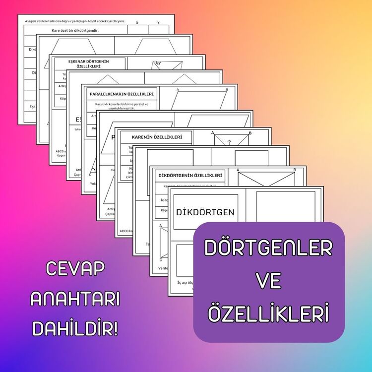 DÖRTGENLER VE ÖZELLİKLERİ/DEFTER ETKİNLİĞİ