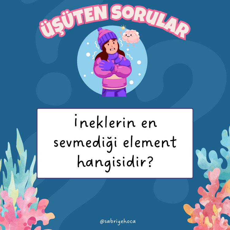 KAFANI KULLAN/ÜŞÜTEN SORULAR