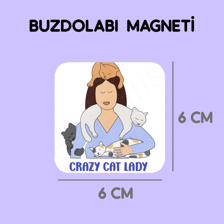 Magnet - crazy cat lady