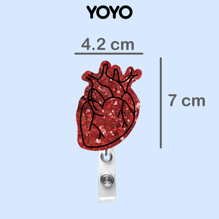 Yoyo - Anatomik kalp