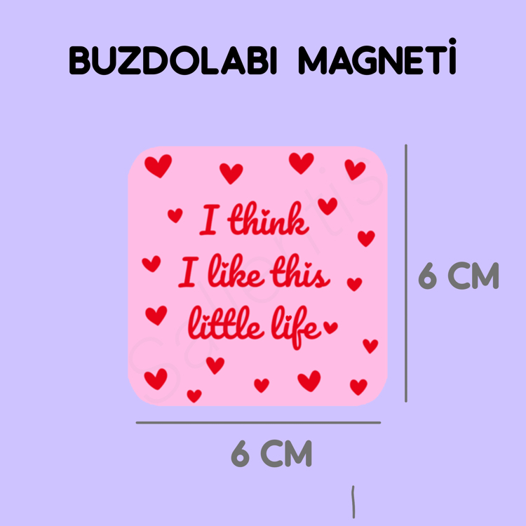 Magnet - Life