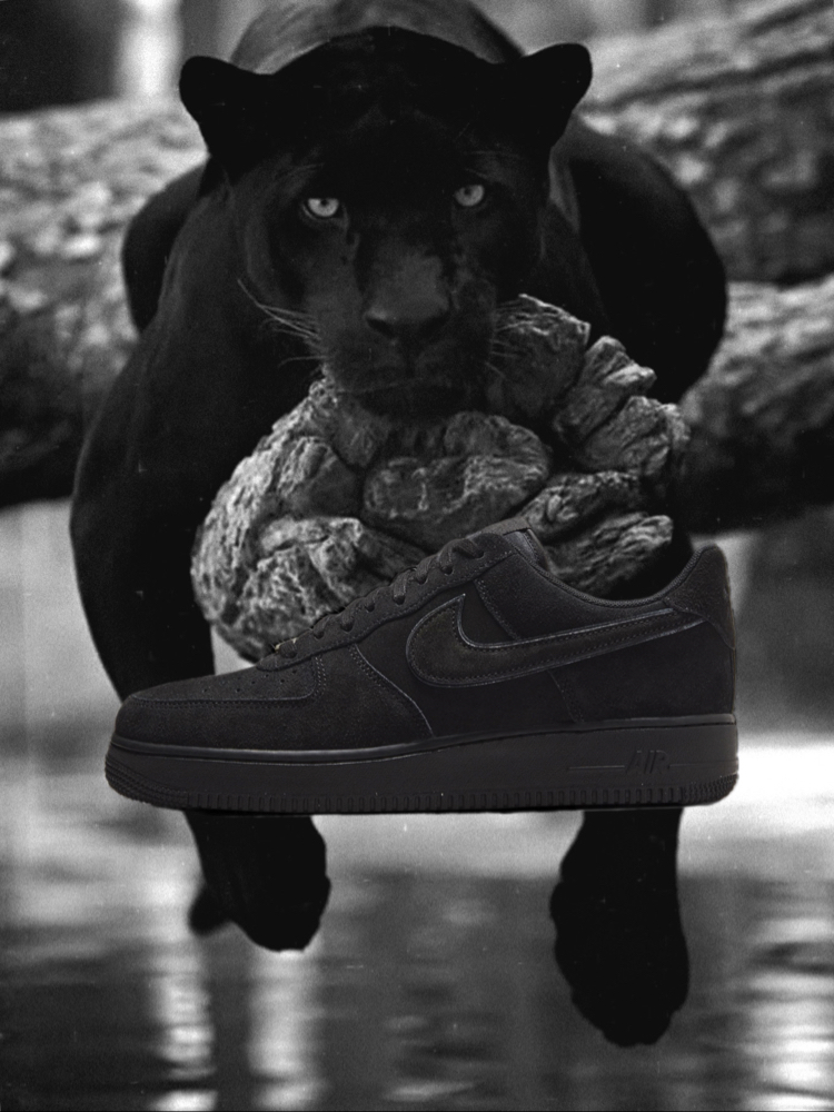 Nike Air Force