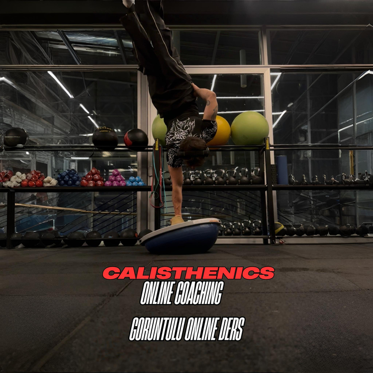 CALISTHENICS GÖRÜNTÜLÜ ONLINE DERS - 12 DERS