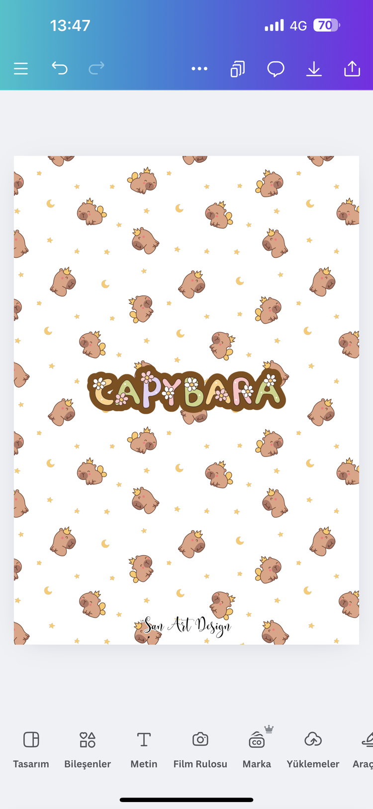 KAPIBARA OKUMA GUNLUGU TURUNCU TEMA + Kapibara Sticker Set