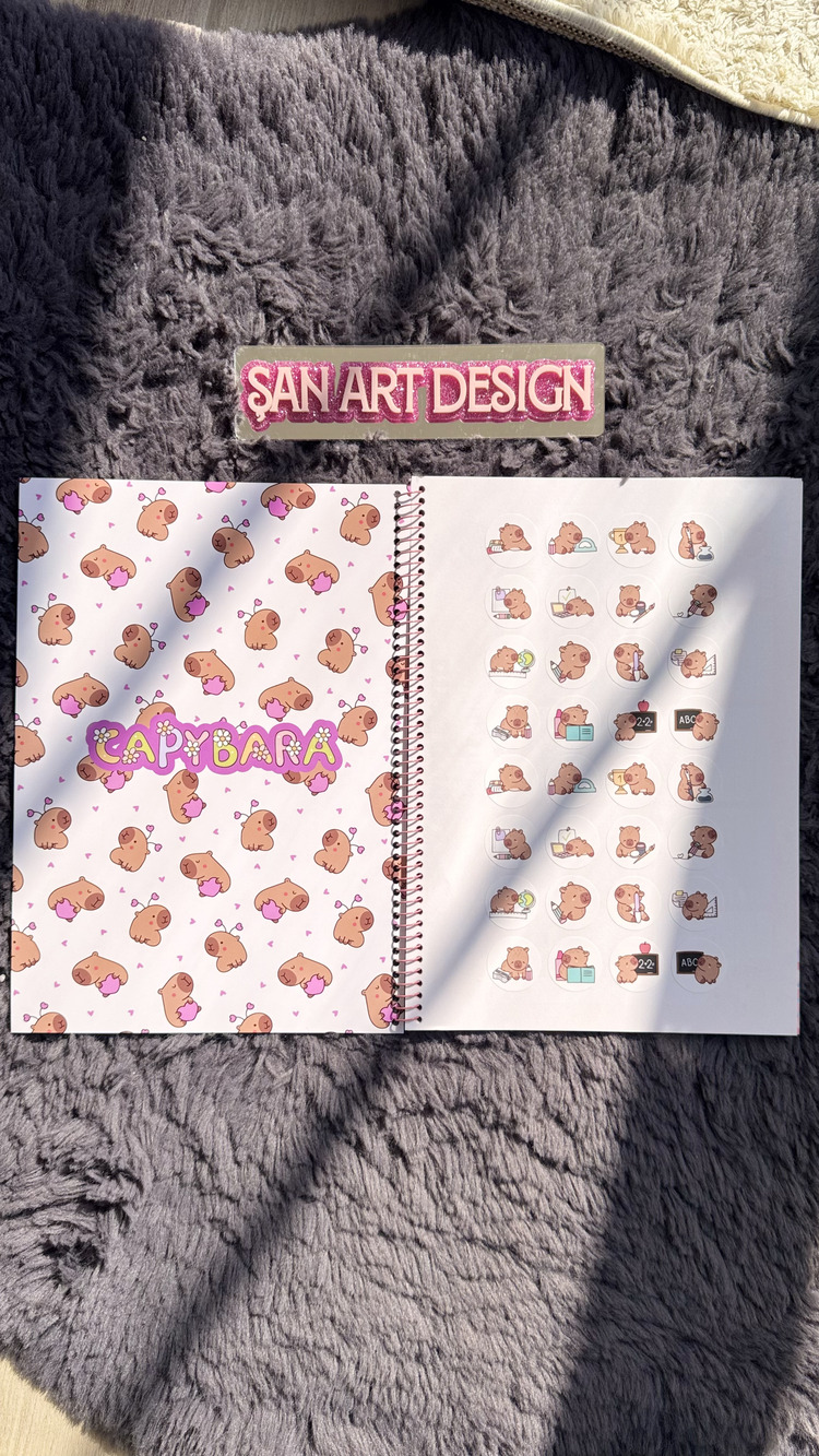 KUROMİ/LABUBU/STİTCH/KAPİBARA 1 ADET ÇİZGİLİ DEFTER