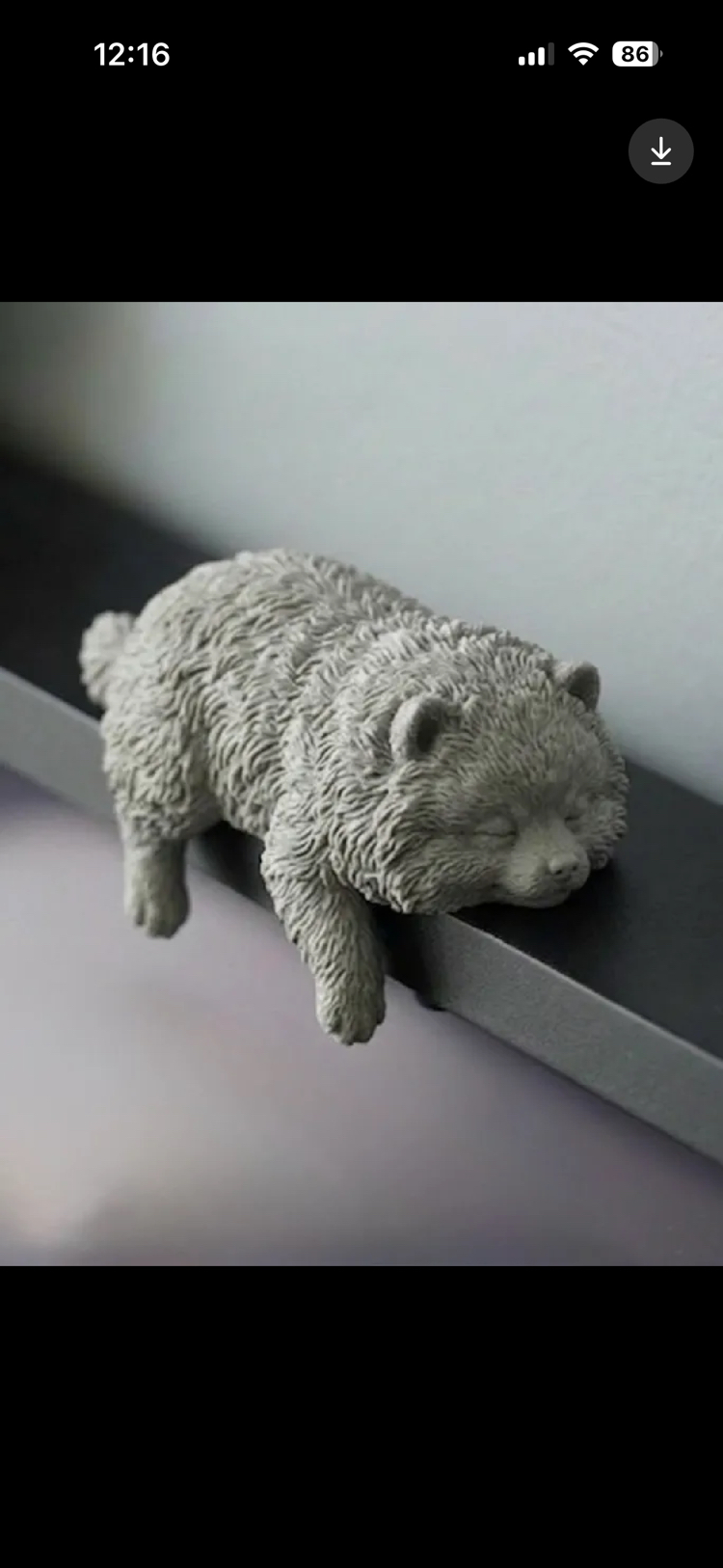 Pomerian Monitör Charm