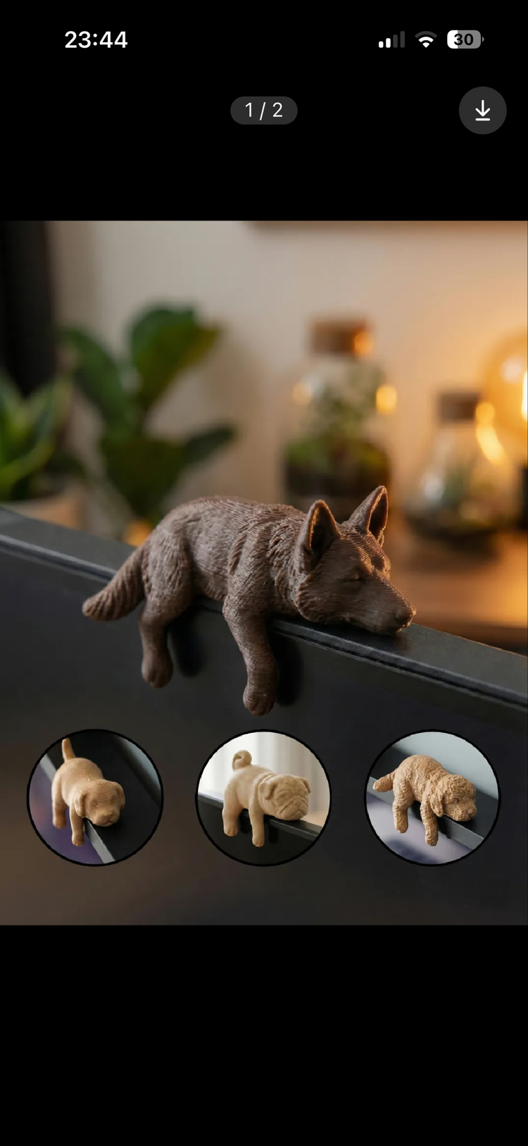 Monitör Charm Alman Kurdu