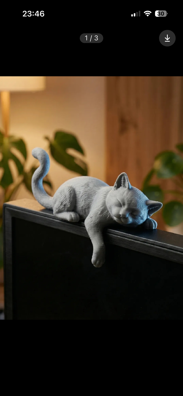 kedi mönitor charm