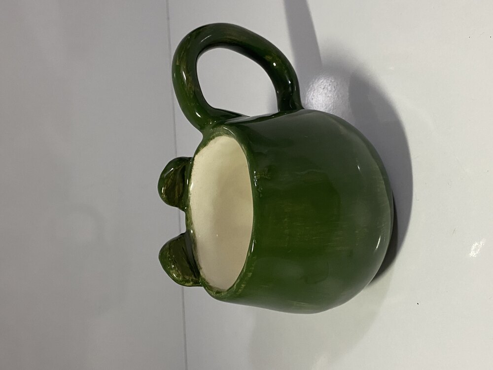 Aşık Kurbağa Mug