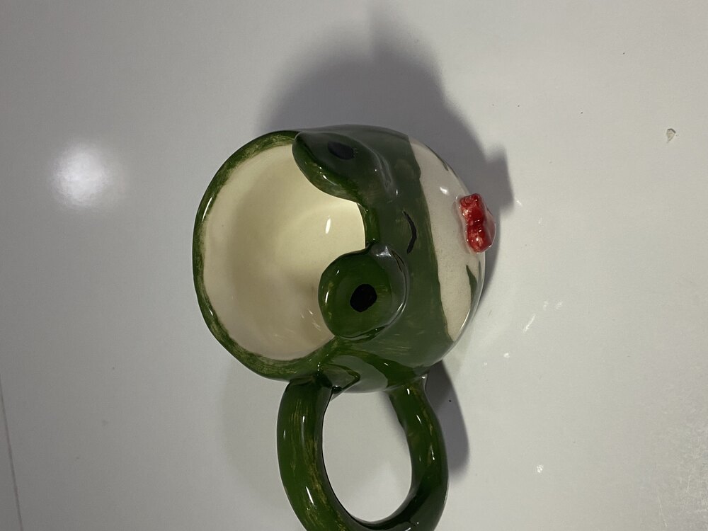 Aşık Kurbağa Mug