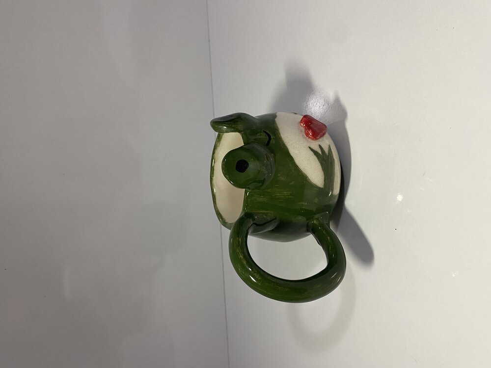 Aşık Kurbağa Mug