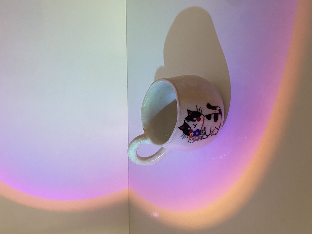 Cat Lover Mug
