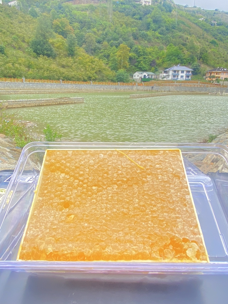 Yayla Petek Balı 500g
