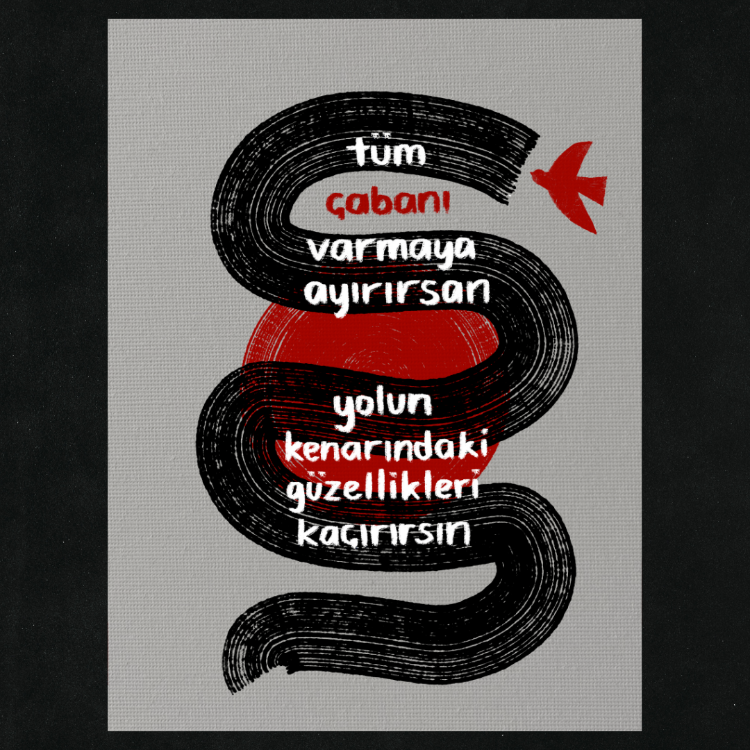 seyir