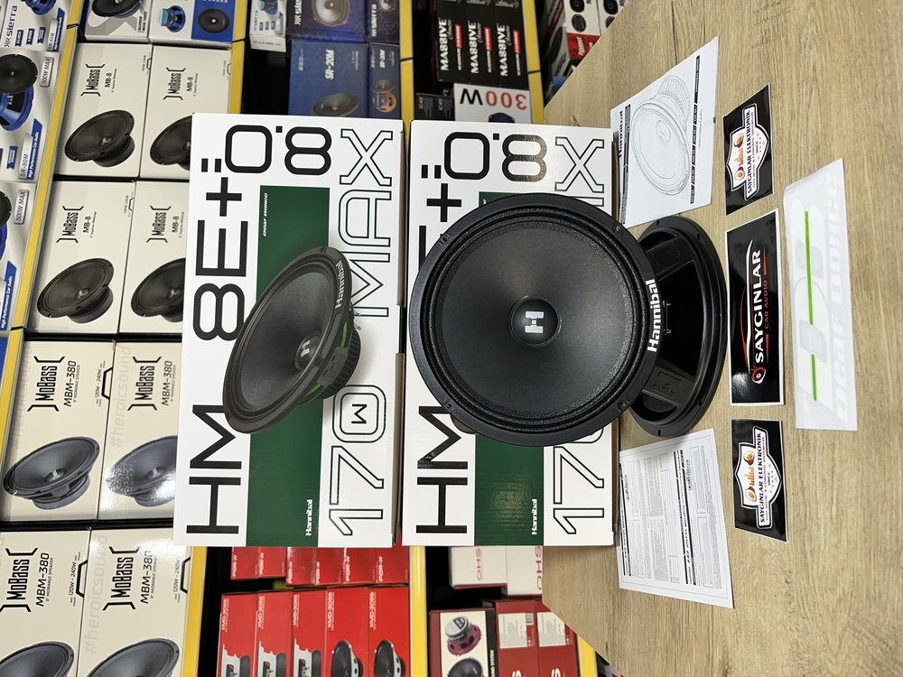 Hannibal HM-8E+ 20 cm Midrange