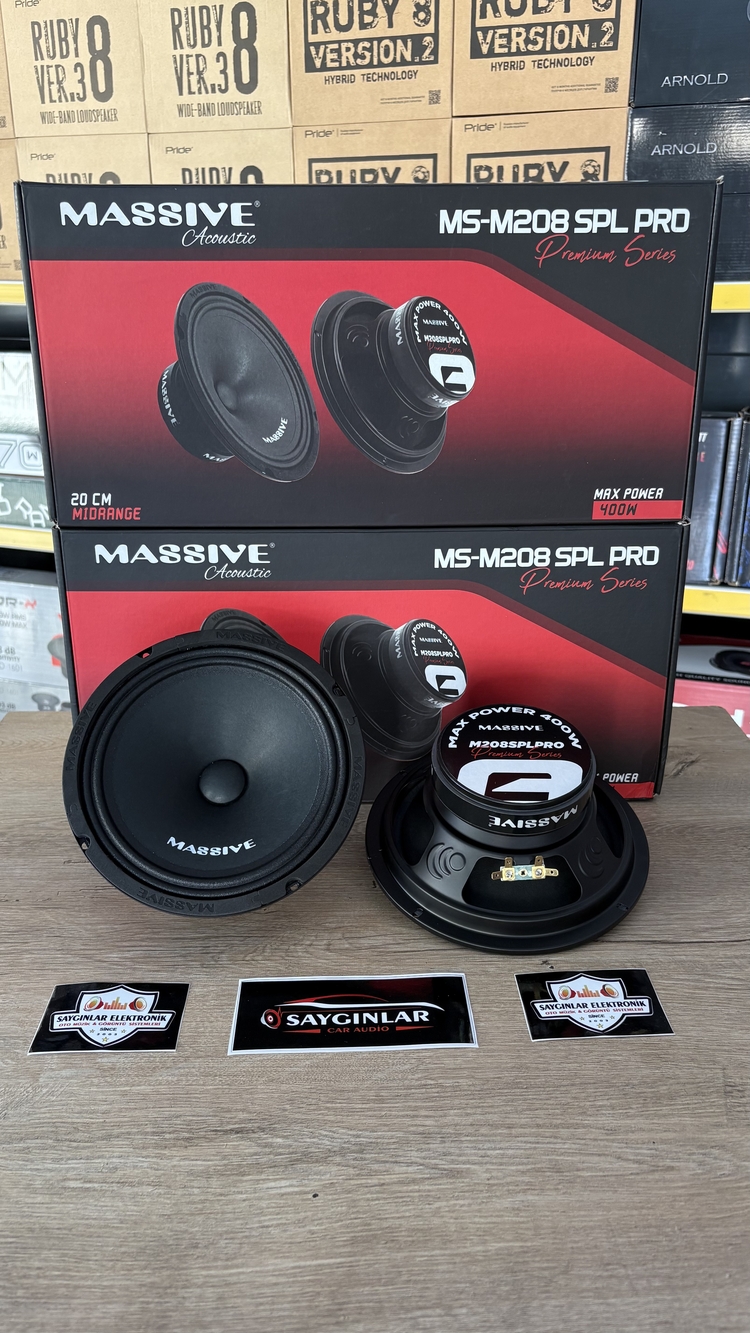 Massive MS-208 20 cm Spl Midrange
