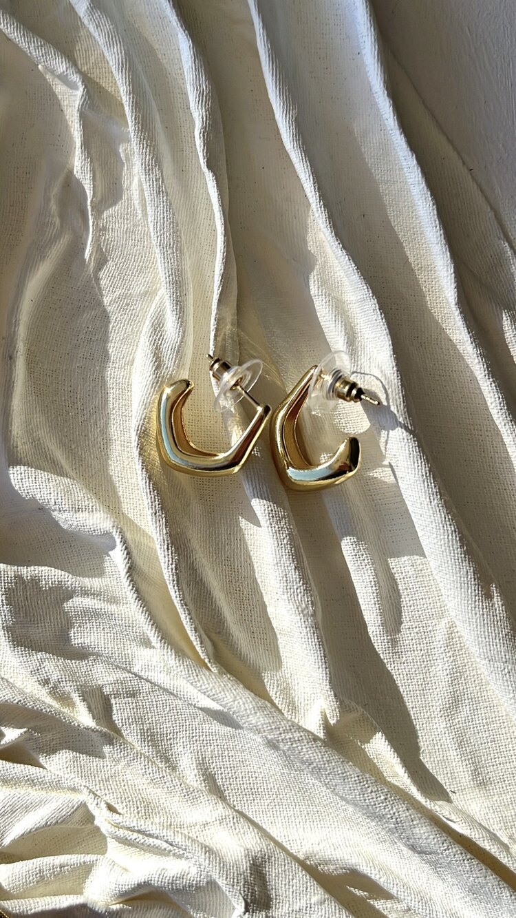 Pure Steel Küpe