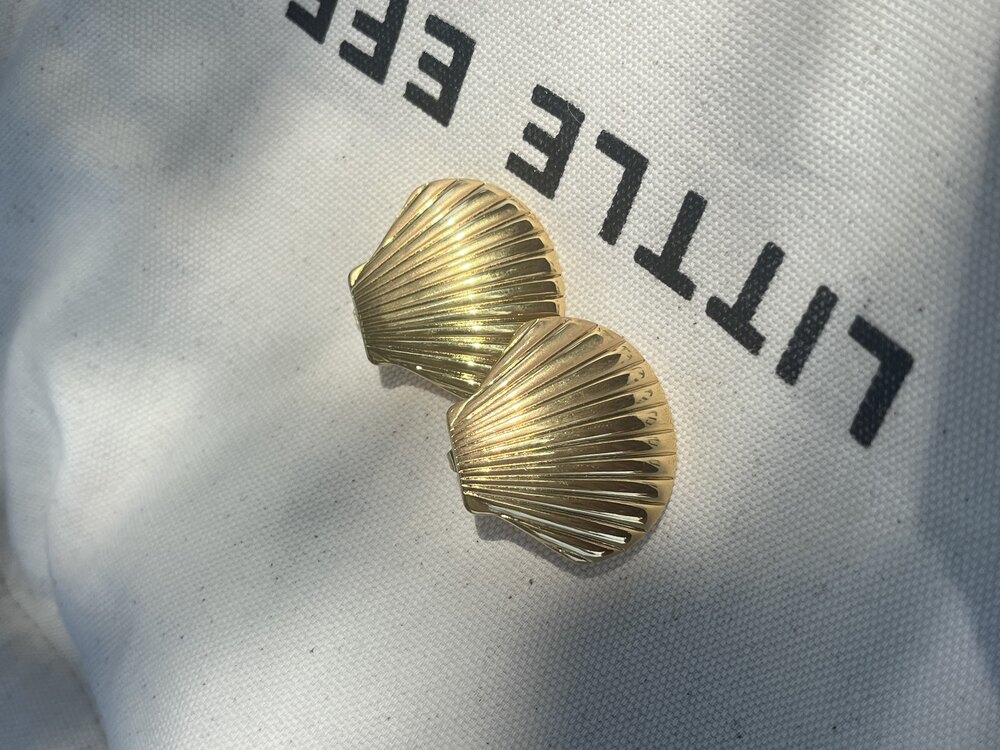 Seashell Küpe