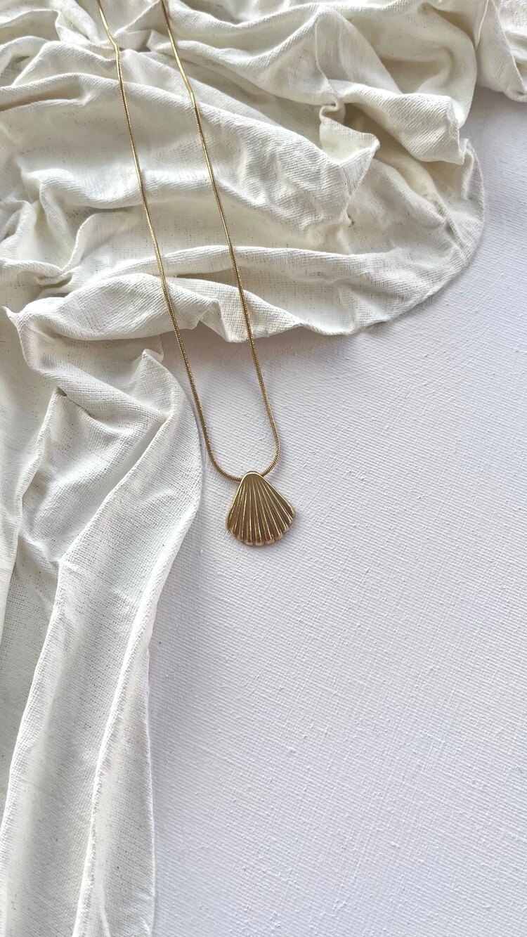 Seashell Steel Kolye