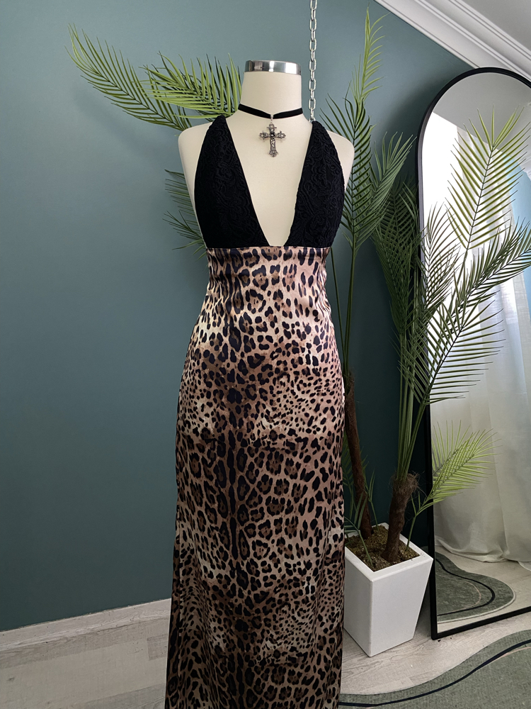 Wildframe Dress