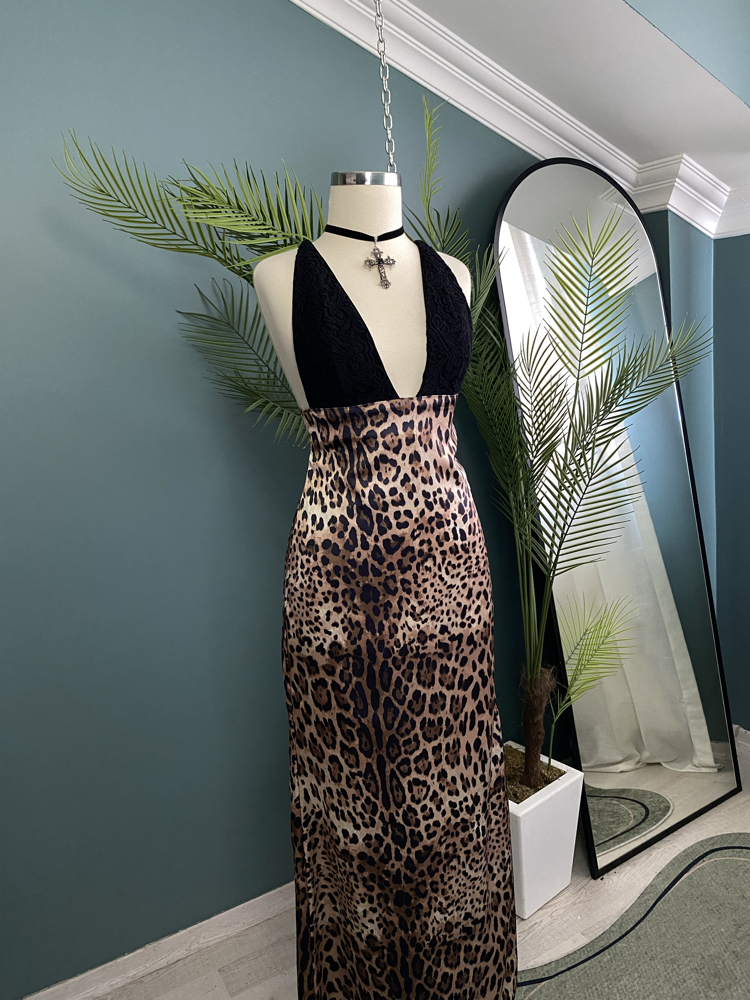 Wildframe Dress