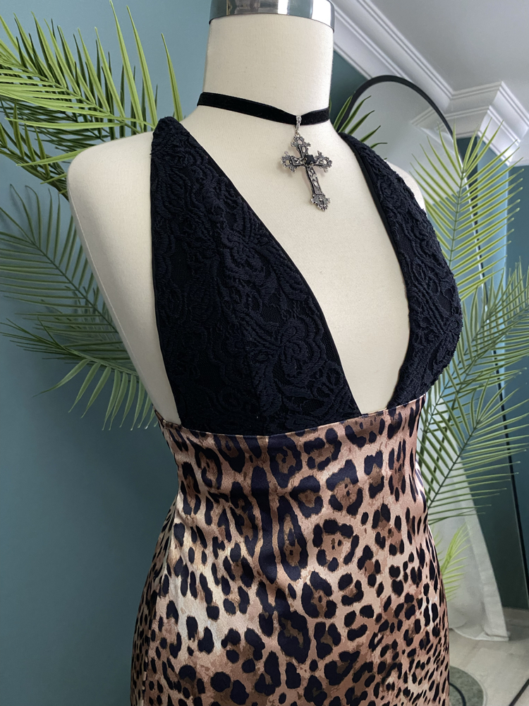 Wildframe Dress